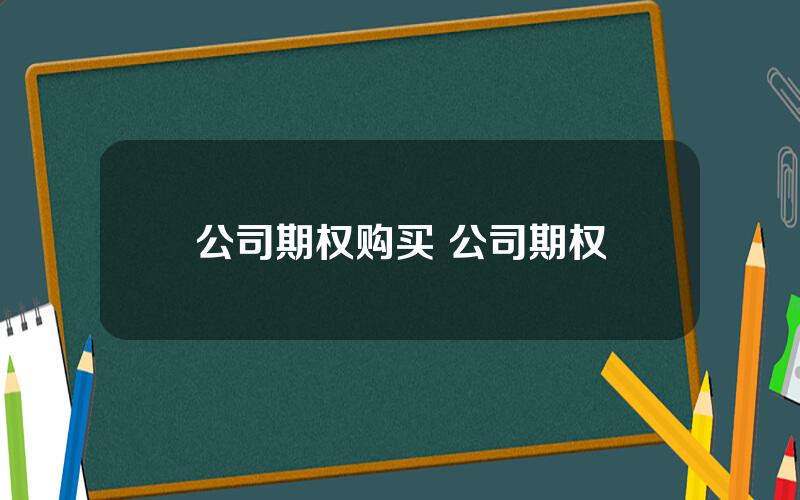 公司期权购买 公司期权